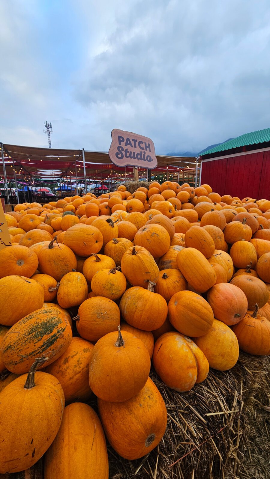 Patch Studio, feria llena de calabazas