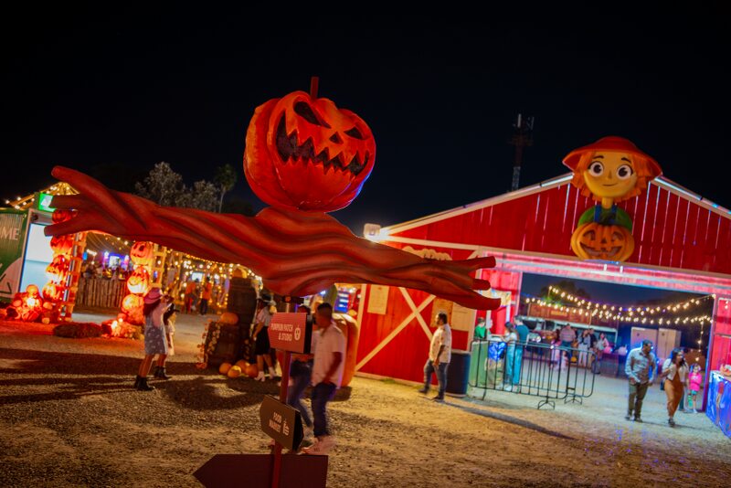 Pumpkin Dash Town